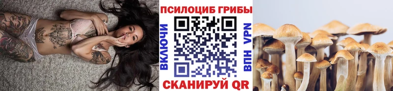 Псилоцибиновые грибы Psilocybine cubensis  Новоузенск 