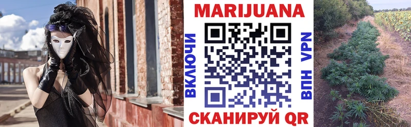 Бошки марихуана THC 21%  купить   блэк спрут зеркало  Новоузенск 