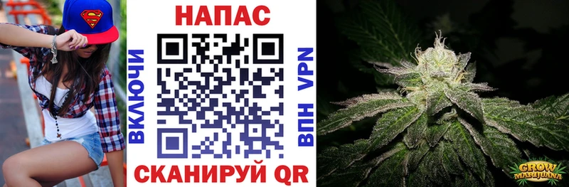 Каннабис индика Новоузенск